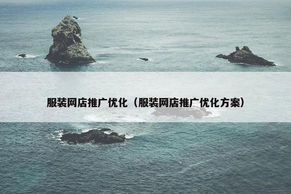 服装网店推广优化（服装网店推广优化方案）