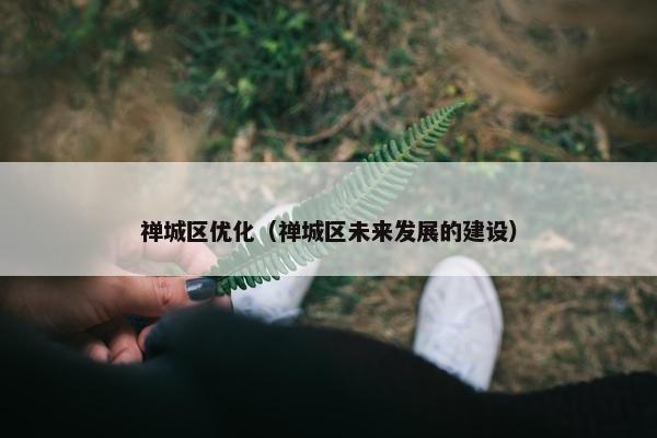 禅城区优化（禅城区未来发展的建设）