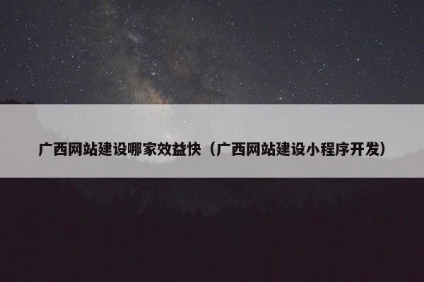 广西网站建设哪家效益快（广西网站建设小程序开发）