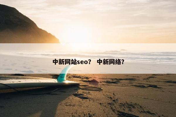 中新网站seo？ 中新网络？