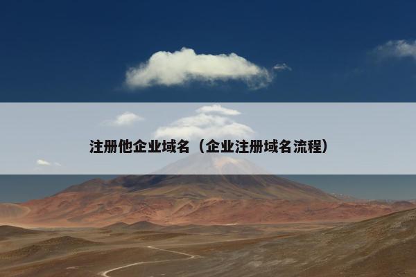 注册他企业域名（企业注册域名流程）
