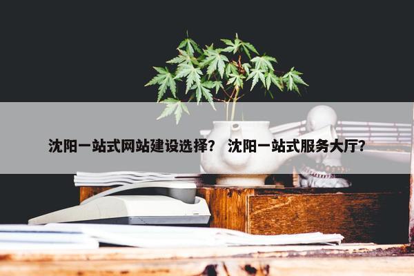 沈阳一站式网站建设选择？ 沈阳一站式服务大厅？