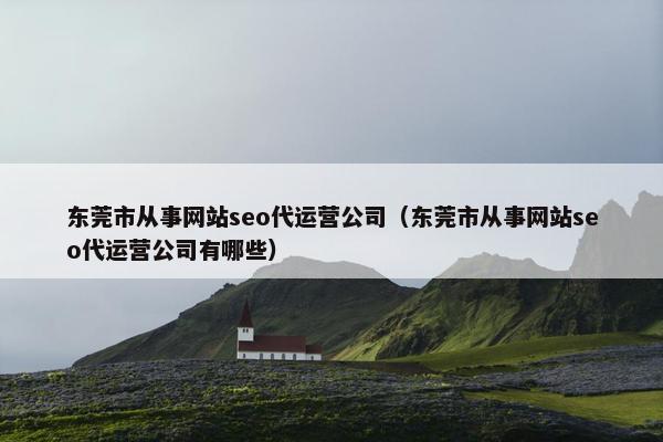 东莞市从事网站seo代运营公司（东莞市从事网站seo代运营公司有哪些）