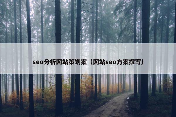 seo分析网站策划案（网站seo方案撰写）