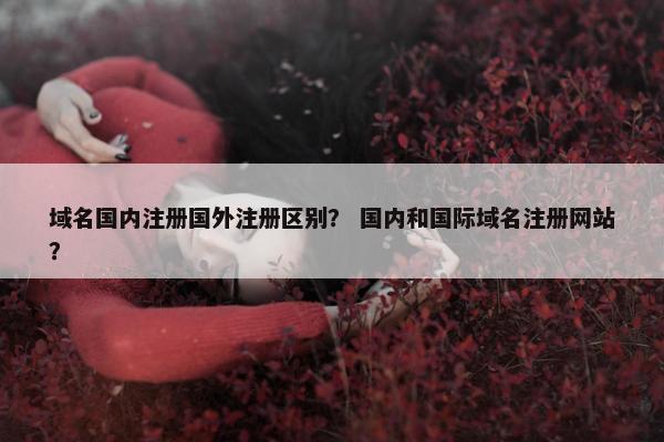 域名国内注册国外注册区别？ 国内和国际域名注册网站？