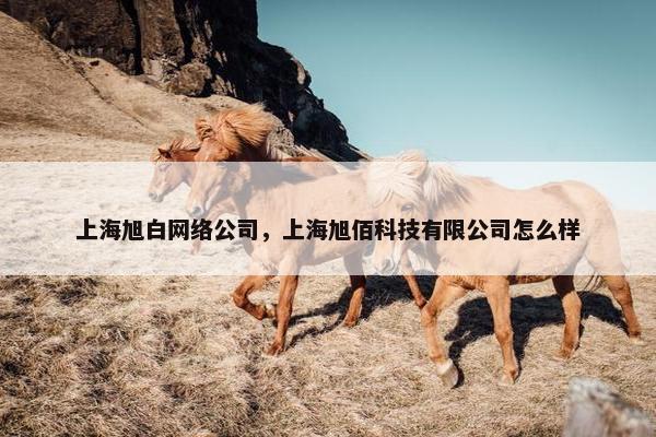 上海旭白网络公司，上海旭佰科技有限公司怎么样