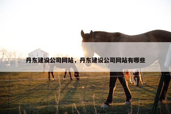 丹东建设公司网站，丹东建设公司网站有哪些
