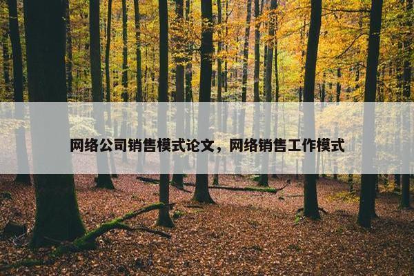 网络公司销售模式论文，网络销售工作模式