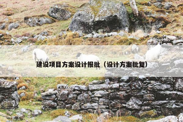 建设项目方案设计报批（设计方案批复）