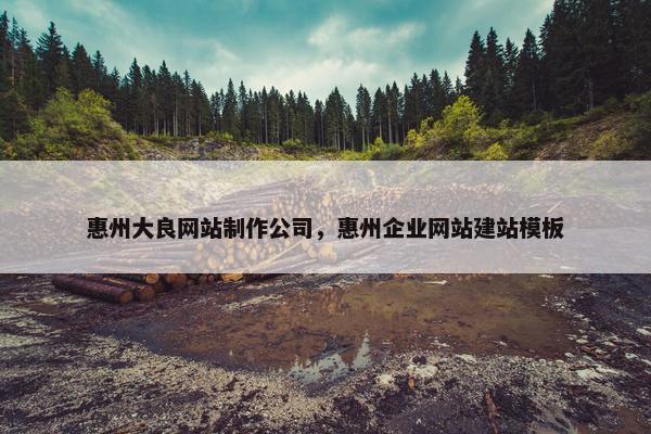 惠州大良网站制作公司，惠州企业网站建站模板