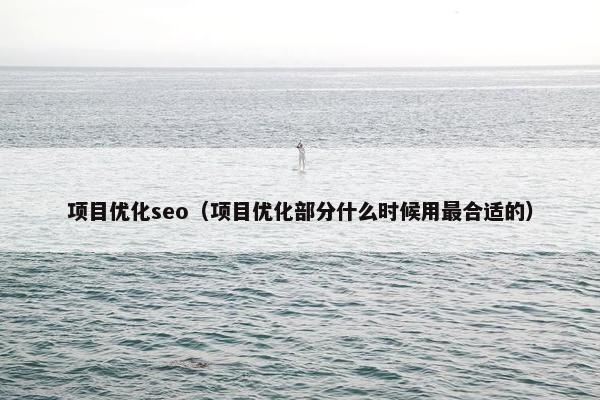 项目优化seo（项目优化部分什么时候用最合适的）