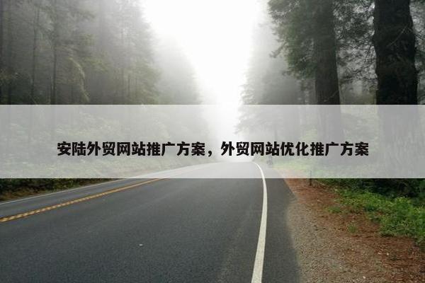 安陆外贸网站推广方案，外贸网站优化推广方案