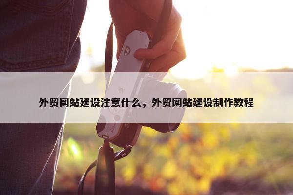 外贸网站建设注意什么，外贸网站建设制作教程