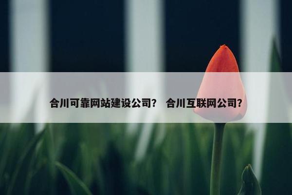 合川可靠网站建设公司？ 合川互联网公司？