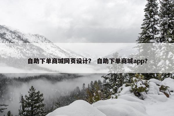 自助下单商城网页设计？ 自助下单商城app？