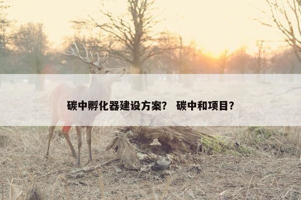 碳中孵化器建设方案？ 碳中和项目？