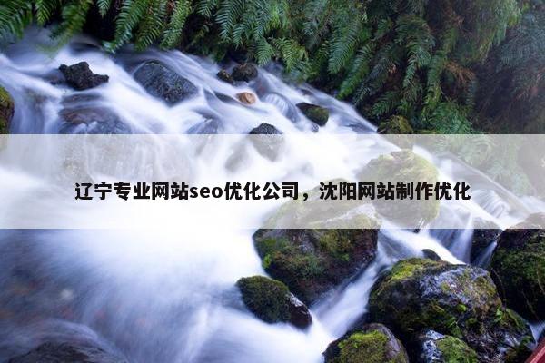 辽宁专业网站seo优化公司，沈阳网站制作优化
