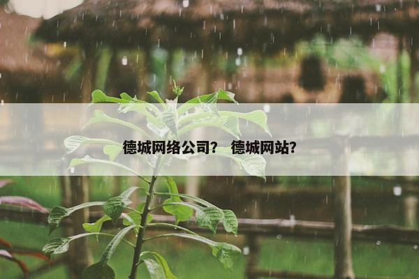 德城网络公司？ 德城网站？