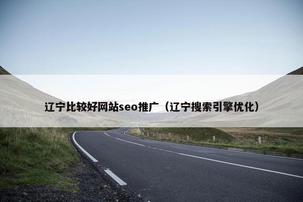辽宁比较好网站seo推广（辽宁搜索引擎优化）