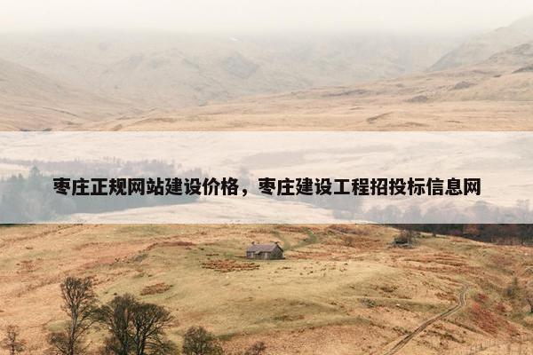 枣庄正规网站建设价格，枣庄建设工程招投标信息网