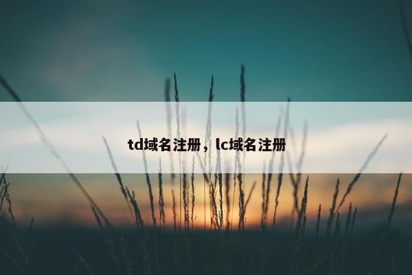 td域名注册，lc域名注册