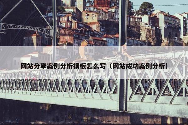 网站分享案例分析模板怎么写（网站成功案例分析）