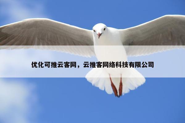 优化可推云客网，云推客网络科技有限公司