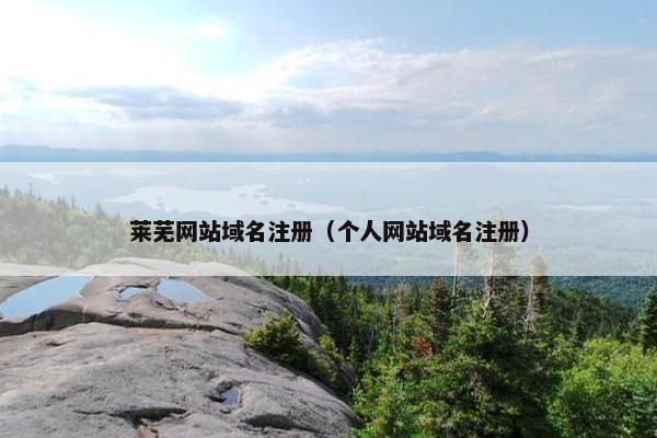 莱芜网站域名注册（个人网站域名注册）