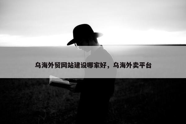 乌海外贸网站建设哪家好，乌海外卖平台