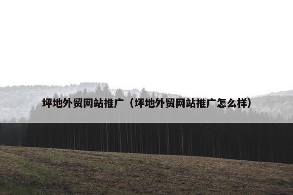 坪地外贸网站推广（坪地外贸网站推广怎么样）