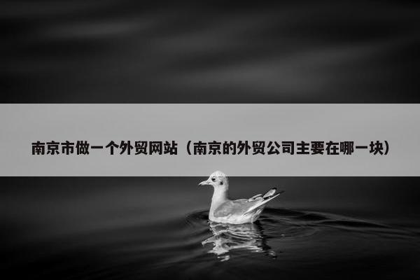 南京市做一个外贸网站（南京的外贸公司主要在哪一块）