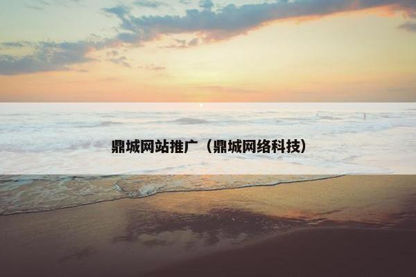 鼎城网站推广（鼎城网络科技）