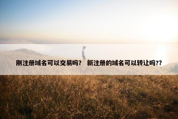 刚注册域名可以交易吗？ 新注册的域名可以转让吗?？