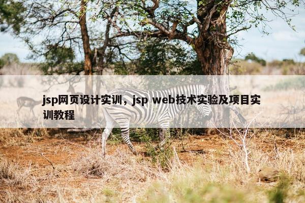 jsp网页设计实训，jsp web技术实验及项目实训教程