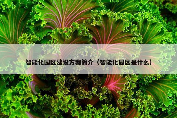 智能化园区建设方案简介（智能化园区是什么）