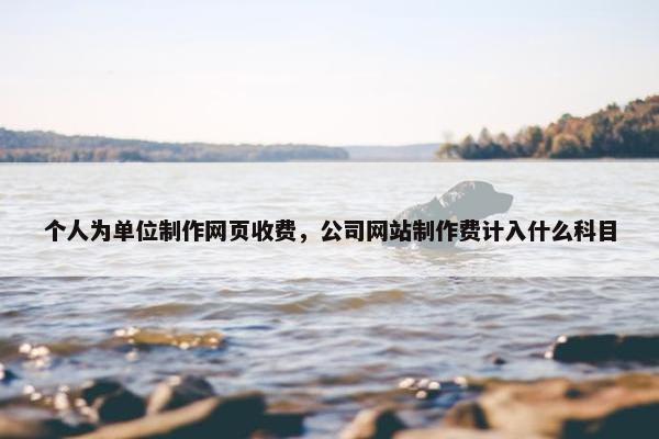个人为单位制作网页收费，公司网站制作费计入什么科目