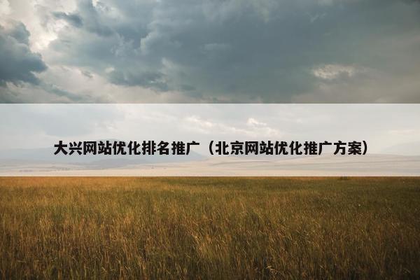 大兴网站优化排名推广（北京网站优化推广方案）