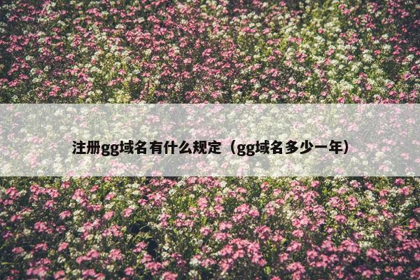 注册gg域名有什么规定（gg域名多少一年）