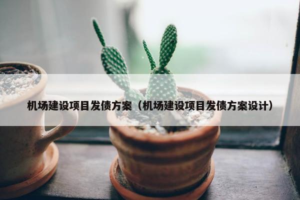 机场建设项目发债方案（机场建设项目发债方案设计）