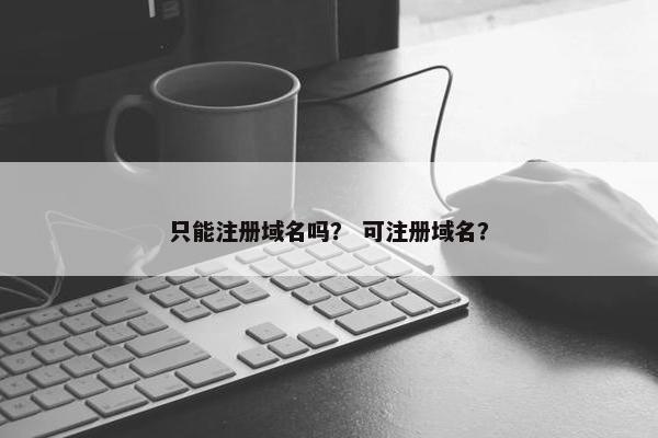 只能注册域名吗？ 可注册域名？
