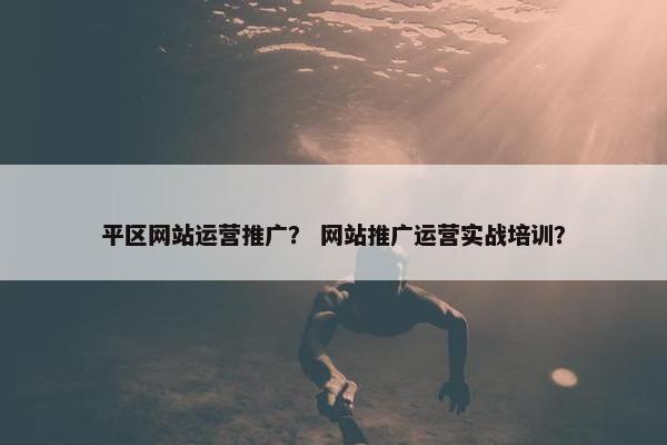 平区网站运营推广？ 网站推广运营实战培训？