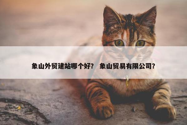 象山外贸建站哪个好？ 象山贸易有限公司？