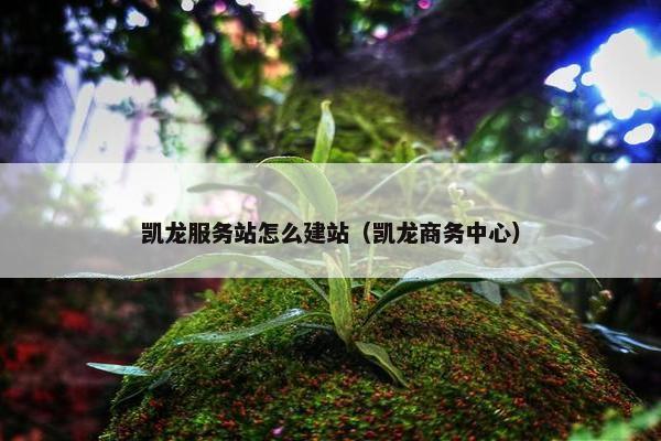凯龙服务站怎么建站（凯龙商务中心）