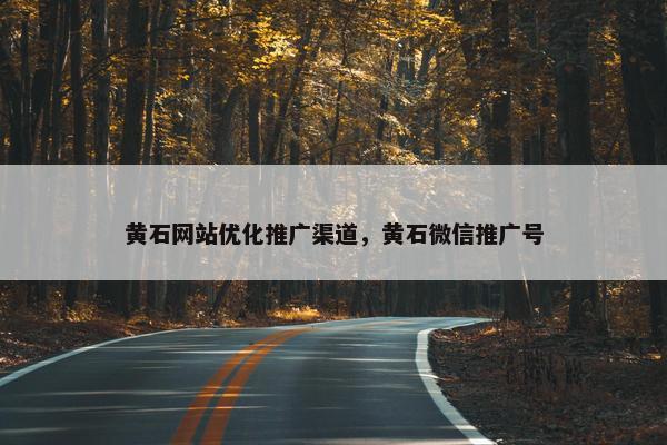 黄石网站优化推广渠道，黄石微信推广号