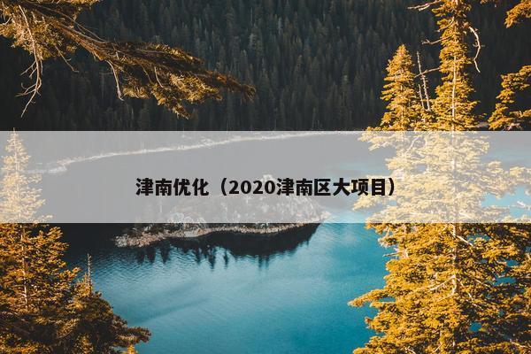 津南优化（2020津南区大项目）