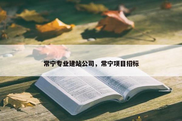 常宁专业建站公司，常宁项目招标