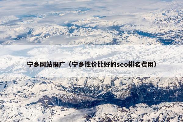 宁乡网站推广（宁乡性价比好的seo排名费用）