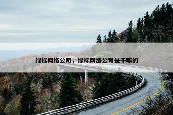 绿标网络公司，绿标网络公司是干嘛的
