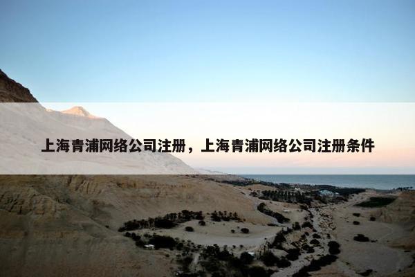上海青浦网络公司注册，上海青浦网络公司注册条件