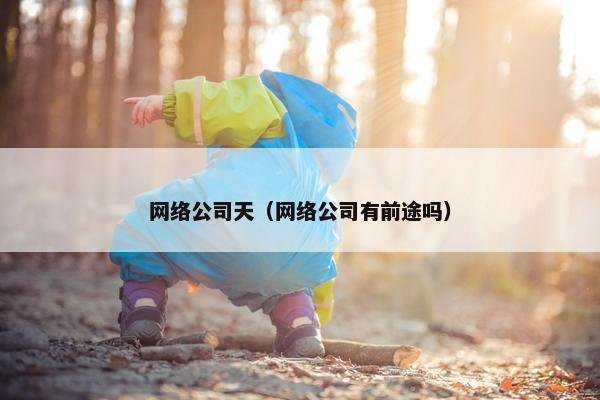 网络公司天（网络公司有前途吗）